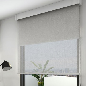 Window with blinds closed