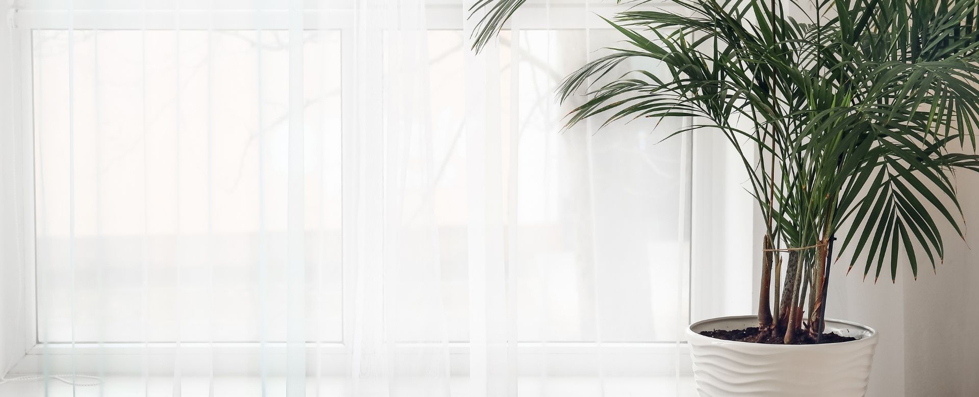 Maximising Natural Light – The Best Window Treatments to Brighten Your Home